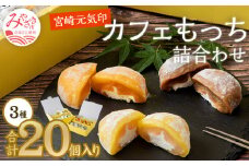 宮崎元気印カフェもっち(大福)詰合わせ(カフェもっち10個・日向夏もっち5個・マンゴっち5個)_M041-002