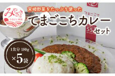 てまごこちカレー(180g×5袋)セット_M054-001