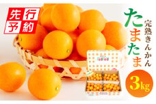 《2025年発送先行予約》【期間・数量限定】完熟きんかんたまたま 3kg_M056-003_01