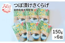 宮崎県産大根使用　つぼ漬けきくらげ150g×6個_M046-001