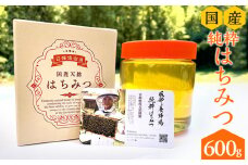 【数量限定】宮崎県産純粋ハチミツ(600g×1本)_M126-005_01