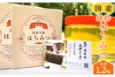 【数量限定】宮崎県産純粋ハチミツ(600g×2本)_M126-006_01