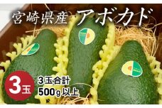 期間・数量限定 宮崎県産アボカド３玉（３玉合計500g以上）_M126-008_01