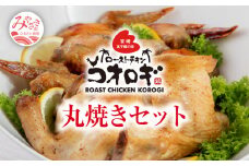 ローストチキンコオロギ 丸焼きセット(丸焼き700ｇ以上、手羽先10本)_M150-002