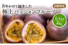 《2025年発送》【期間・数量限定】8年かけて誕生した宮崎県産極上パッションフルーツＬ　2kg_M057-005