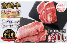 宮崎牛ステーキ800gセット(サーロイン200g×2＆リブロース200g×2）_M109-008