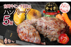 宮崎牛ハンバーグ130g×5個｜牛肉 宮崎牛 100％｜_M109-012