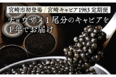 【定期便全4回】チョウザメ1尾分のキャビアを1年でお届け_M017-024