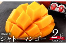 《2025年発送》【期間・数量限定】シャトーマンゴー(大) AAA 2玉_M126-009