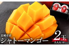 《2025年発送》【期間・数量限定】シャトーマンゴー(中) AAA 2玉_M126-010
