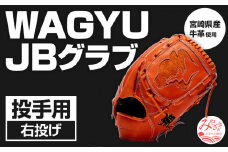 宮崎県産牛革使用 WAGYU JB 硬式用 グラブ 投手用 JB-001Y(オレンジ/右投げ用)_M147-002_01