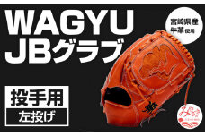 宮崎県産牛革使用 WAGYU JB 硬式用 グラブ 投手用 JB-001Y(オレンジ/左投げ用)_M147-005_01