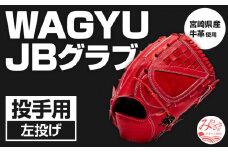 宮崎県産牛革使用 WAGYU JB 硬式用 グラブ 投手用 JB-001Y(パワーオレンジ/左投げ用)_M147-006_01