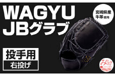 宮崎県産牛革使用 WAGYU JB 硬式用 グラブ 投手用 JB-001Y(ブラック/右投げ用)_M147-004_01