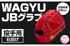 宮崎県産牛革使用 WAGYU JB 硬式用 グラブ 投手用 JB-001T(パワーオレンジ/右投げ用)_M147-009_01