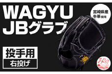 宮崎県産牛革使用 WAGYU JB 硬式用 グラブ 投手用 JB-001T(ブラック/右投げ用)_M147-010_01