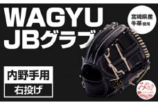 宮崎県産牛革使用 WAGYU JB 硬式用 グラブ 内野手用 JB-004(ブラック/右投げ用)_M147-016_01