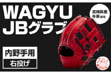 宮崎県産牛革使用 WAGYU JB 硬式用 グラブ 内野手用 JB-004(パワーオレンジ/右投げ用)_M147-015_01