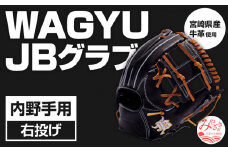 宮崎県産牛革使用 WAGYU JB 硬式用 グラブ 内野手用 JB-004S(ブラック/右投げ用)_M147-019_01