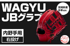 宮崎県産牛革使用 WAGYU JB 硬式用 グラブ 内野手用 JB-006(パワーオレンジ/右投げ用)_M147-024_01