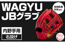 宮崎県産牛革使用 WAGYU JB 硬式用 グラブ 内野手用 JB-006S(パワーオレンジ/右投げ用)_M147-027_01