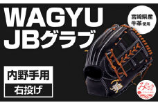 宮崎県産牛革使用 WAGYU JB 硬式用 グラブ 内野手用 JB-006S(ブラック/右投げ用)_M147-028_01