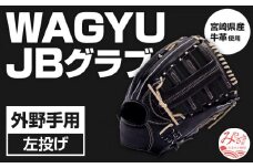 宮崎県産牛革使用 WAGYU JB 硬式用 グラブ 外野手用 JB-008(ブラック/左投げ用)_M147-040_01