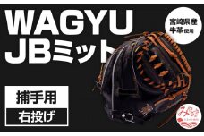 宮崎県産牛革使用 WAGYU JB ミット 硬式用 捕手用 JB-002F(ブラック/右投げ用)_M147-042_01