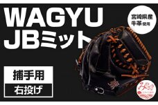 宮崎県産牛革使用 WAGYU JB ミット 硬式用 捕手用 JB-002S(ブラック/右投げ用)_M147-044_01