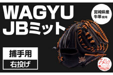 宮崎県産牛革使用 WAGYU JB ミット 硬式用 捕手用 JB-002N(ブラック/右投げ用)_M147-051_01