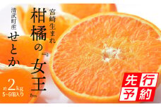 【期間・数量限定】宮崎市清武町産「せとか」5～6個入り（約2kg）_M129-002_01