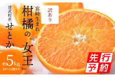 【期間・数量限定】宮崎市清武町産「せとか」訳あり（20～23個入）（約5kg）_M129-005_01
