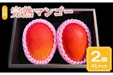 《2025年発送》【期間・数量限定】宮崎市産完熟マンゴー2玉 4Lサイズ（1玉450～499g）_M126-016_01