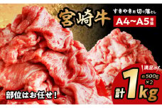 宮崎牛切り落としすき焼き用 計1kg（約500g×2） 牛肉 国産 和牛 牛 肉 お肉 すきやき すき焼き すき焼き用 すきやき用 切り落とし 切り落し 1kg 500g 2パック 宮崎牛 人気 おすすめ 冷凍 小分け A4 A5 おまかせ しゃぶしゃぶ しゃぶしゃぶ用 牛しゃぶ 宮崎県産 宮崎県 宮崎市_M155-008_03