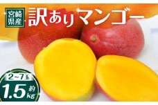 【期間・数量限定】【訳あり】宮崎県産 訳ありマンゴー 約1.5kg（2～7玉）_M168-003_01