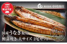鰻蒲焼 大サイズ2尾セット 冬うなぎ_M069-008_03