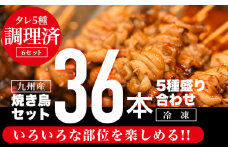 九州産焼き鳥36本(5種)セット盛り合わせ_M146-007_01