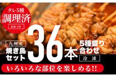 九州産焼き鳥36本(5種)セット盛り合わせ_M146-007_01