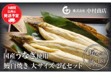 国産うなぎ使用　鰻白焼き　大サイズ（156～180g）2尾・肝焼きセット 冬うなぎ_M069-010_03