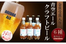 青空エールこだわりのクラフトビール飲み比べ詰め合わせセット〈フルーツビール入り〉6種6本（330ml 瓶×3本、500mlペットボトル×3本）_M170-003_12