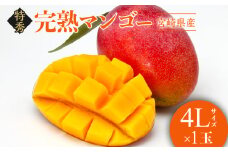 【2025年発送】《期間・数量限定》完熟！宮崎マンゴー 特秀 大玉4Lサイズ約600g 1玉化粧箱入り| マンゴー 宮崎マンゴー 宮崎 宮崎県産 フルーツ 果物 くだもの デザート 旬の果物 果実 甘い 特産品 高級 化粧箱 贈答 贈答用 ギフト 贈り物 プレゼント |_M183-001_01