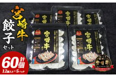 宮崎牛餃子セット　12個入り/5パックセット　合計60個_M165-001