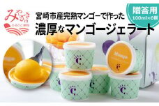 数量限定 宮崎市産完熟マンゴーで作った濃厚なマンゴージェラート(贈答用 100ml×6個)_M184-006