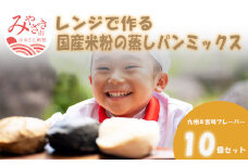 宮崎発！レンジでつくる国産米粉の蒸しパンミックス　九州＆宮崎フレーバー　10個セット_M126-018