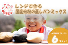 宮崎発！レンジでつくる国産米粉の蒸しパンミックス　九州＆宮崎フレーバー　6個セット_M126-019