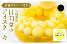 【江森宏之シェフ考案】宮崎市産日向夏のアイスケーキ_M142-004