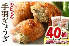 ひとくち手羽ぎょうざ 計40個 20個入×2パック | 餃子 手羽 てば 肉 お肉 手羽先 手羽先餃子 宮崎餃子 ご当地 グルメ ご当地グルメ おつまみ おかず 中華料理 焼き餃子 揚げ餃子 鶏肉 豚肉 牛肉 一口 ひとくち 一口サイズ 冷凍 宮崎 宮崎市 ｜ _M025-005