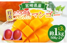 【2025年発送】《期間・数量限定》完熟！宮崎マンゴー 特秀 大玉3Lサイズ 2玉化粧箱入り| マンゴー 宮崎マンゴー 宮崎 完熟 完熟マンゴー 宮崎県産 2玉 フルーツ 果物 くだもの デザート 旬の果物 果実 甘い 特産品 高級 化粧箱 贈答 贈答用 ギフト 贈り物 プレゼント 人気 おすすめ |_M183-002_01