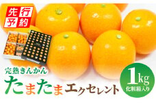 《2025年発送先行予約》【期間・数量限定】完熟きんかん たまたまエクセレント 1kg_M056-012