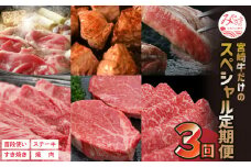 定期便 宮崎牛 だけの スペシャル 定期便 3ヶ月 コース【牛肉 3回 毎月】_M109-T019